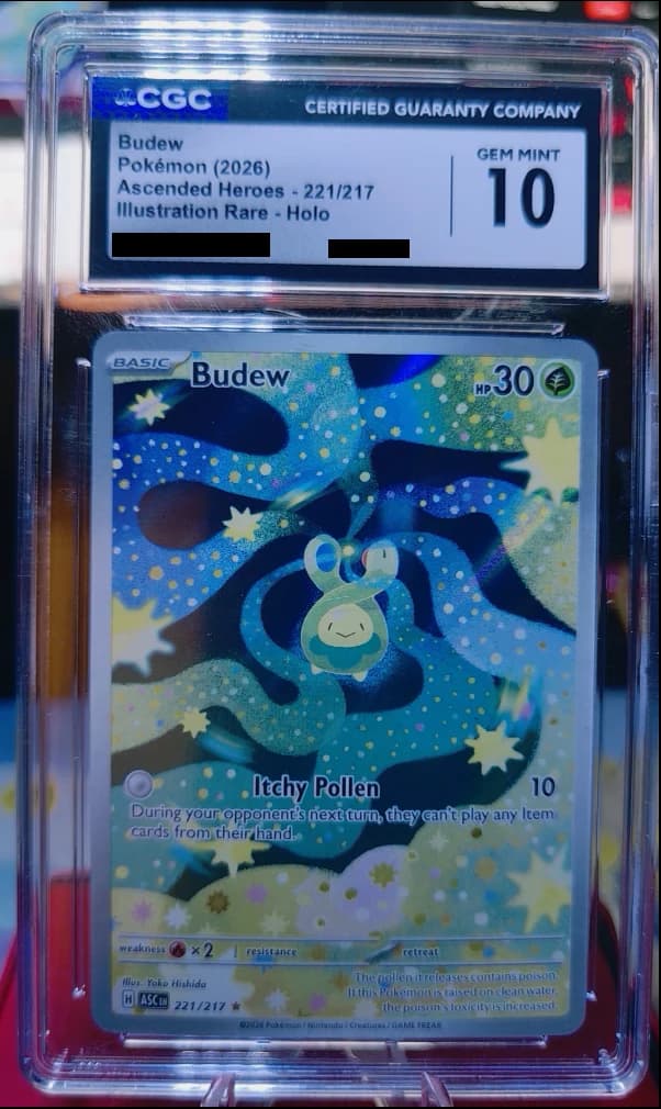 Image supplied with the listing Listing image for Budew 221/217