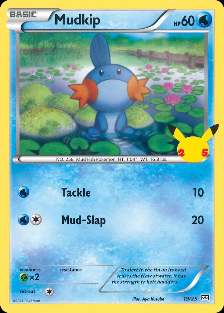 Mudkip 19/025