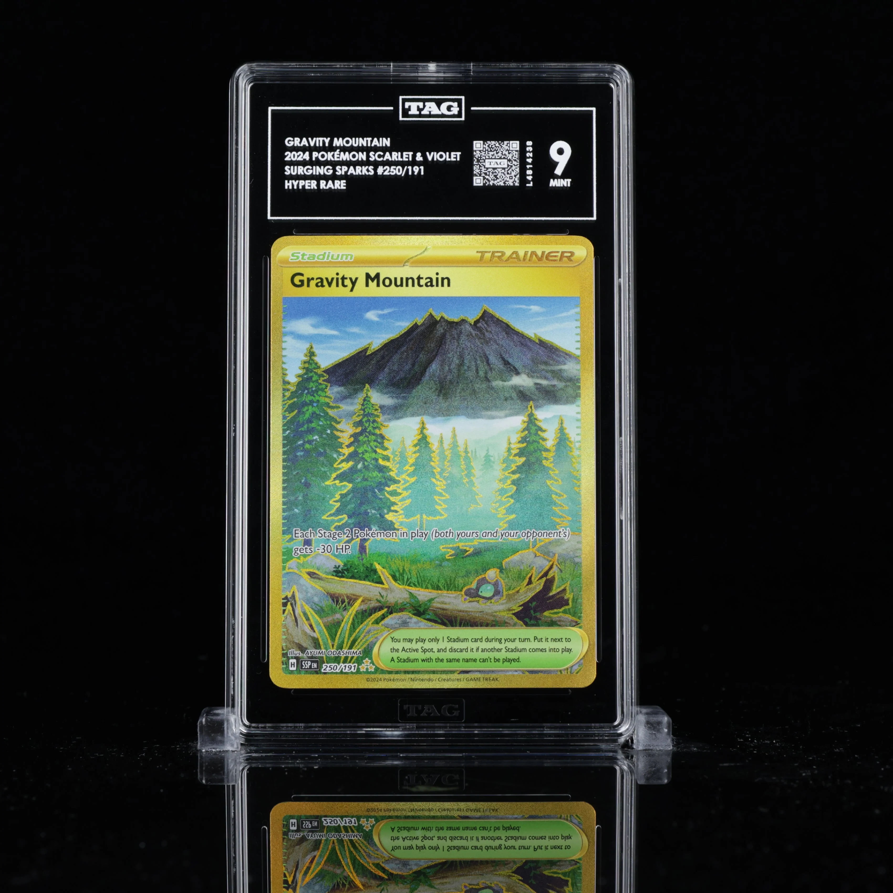 Image supplied with the listing Listing image for Gravity Mountain 250/191